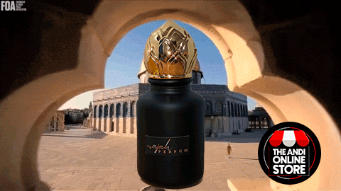 NAJAH PERFUME ÁRABE FEROMONAS CONCENTRADO